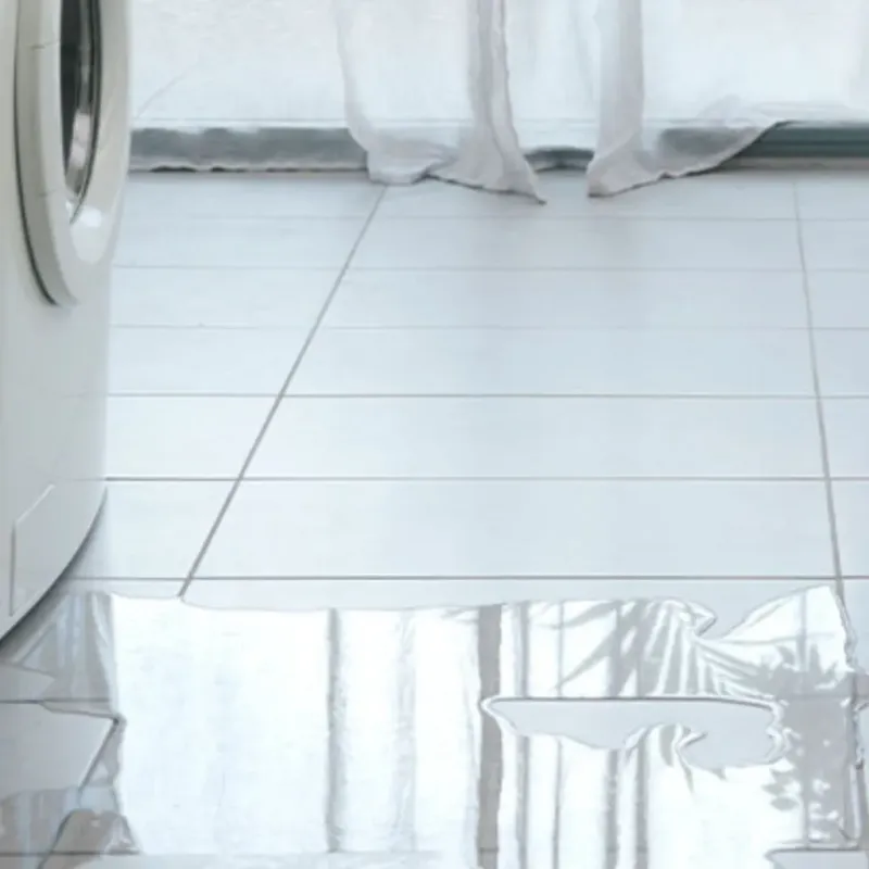 Appliance Leak Cleanup in Venetian Village, IL