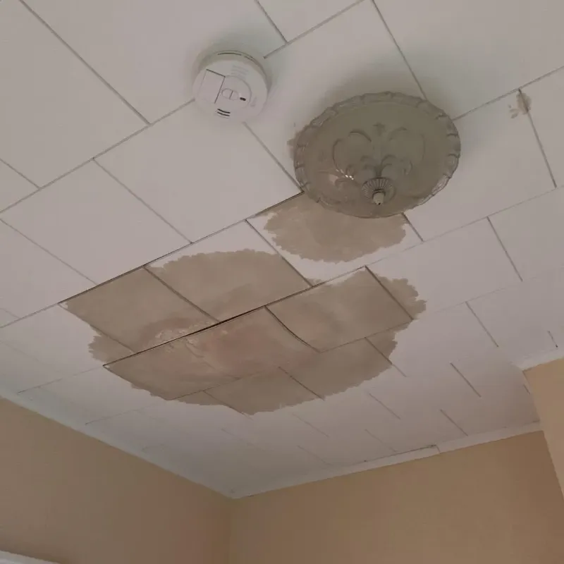 Ceiling Water Damage Repair in Venetian Village, IL