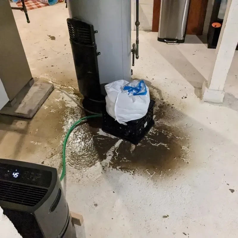 Sewage Backup Cleanup Service in Venetian Village, IL